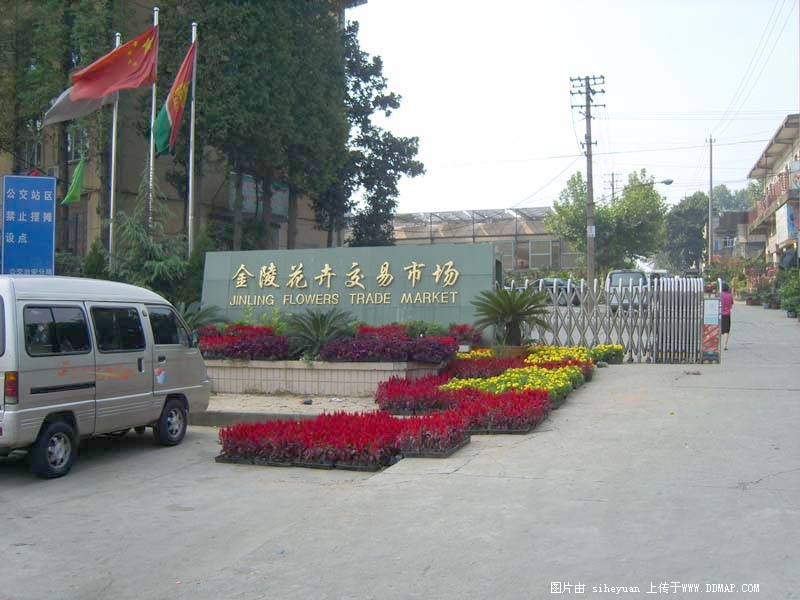 南京新庄花卉市场