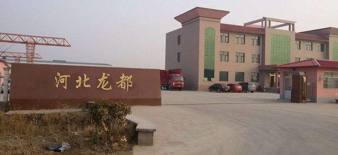 沧州龙都管道有限厂家