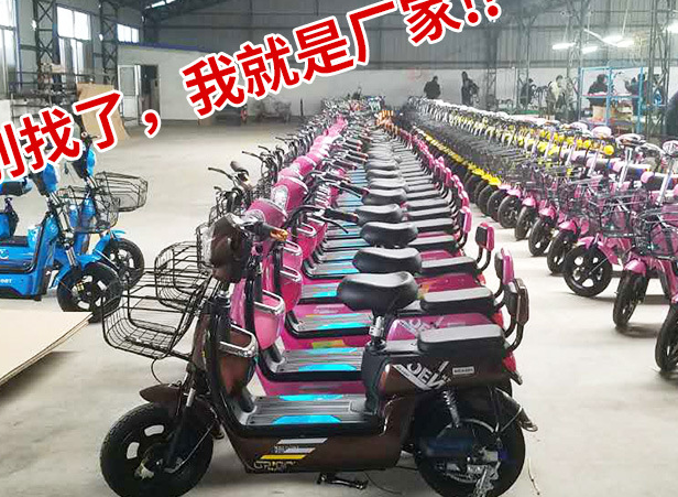 费县绿欣电动车厂家